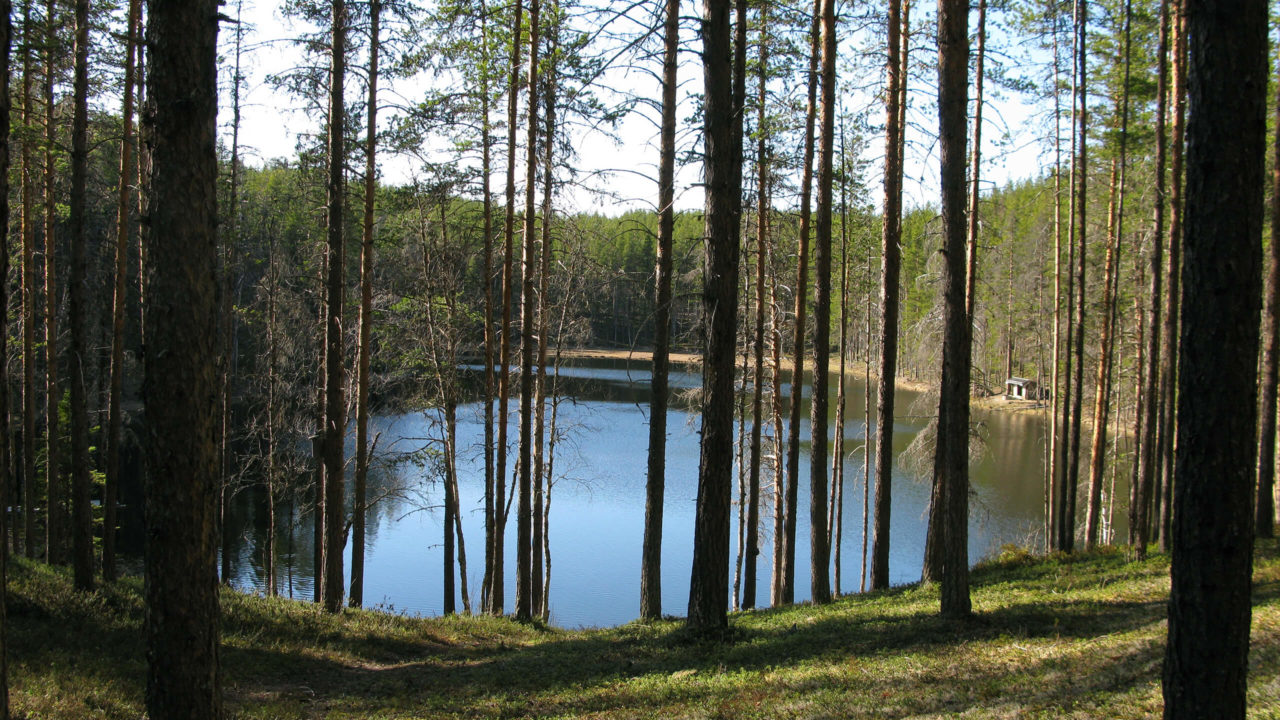 Missutjärn i Ekopark Skatan