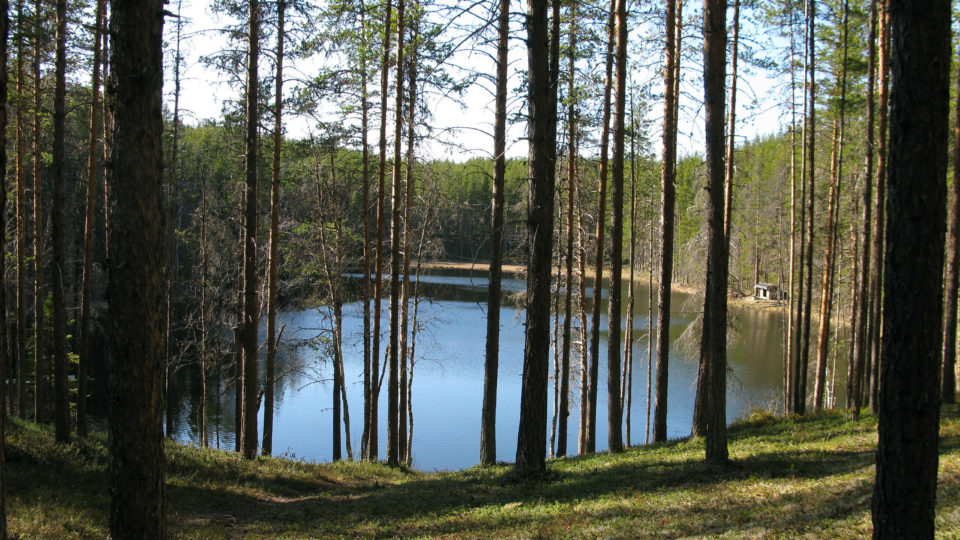 Missutjärn i Ekopark Skatan