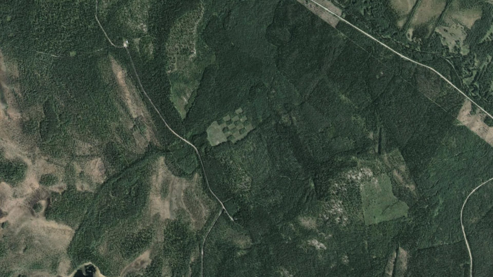 Google maps satellitbild där man tydligt ser den schackrutiga skogen från ovan