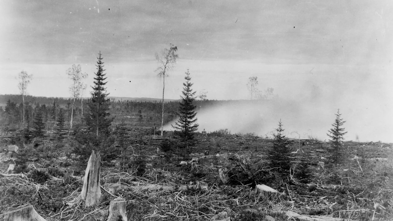 Hyggesbränning på Kulbäckslidens försökspark 1929