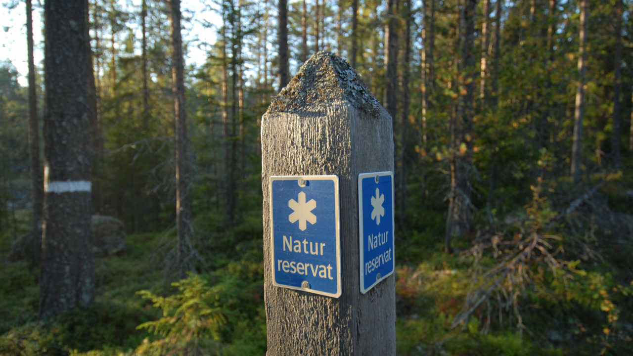 Skydd Av Skog – Formellt Och Frivilligt - Visa Skogen